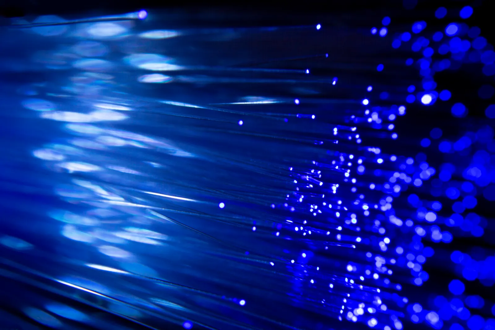 Glowing fibre optic strands in blue light